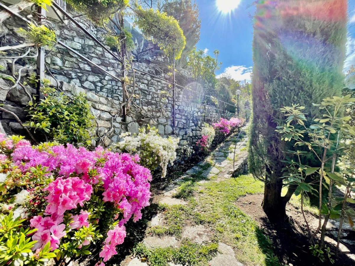 Eden Sul Lago Di Como ネッソ エクステリア 写真