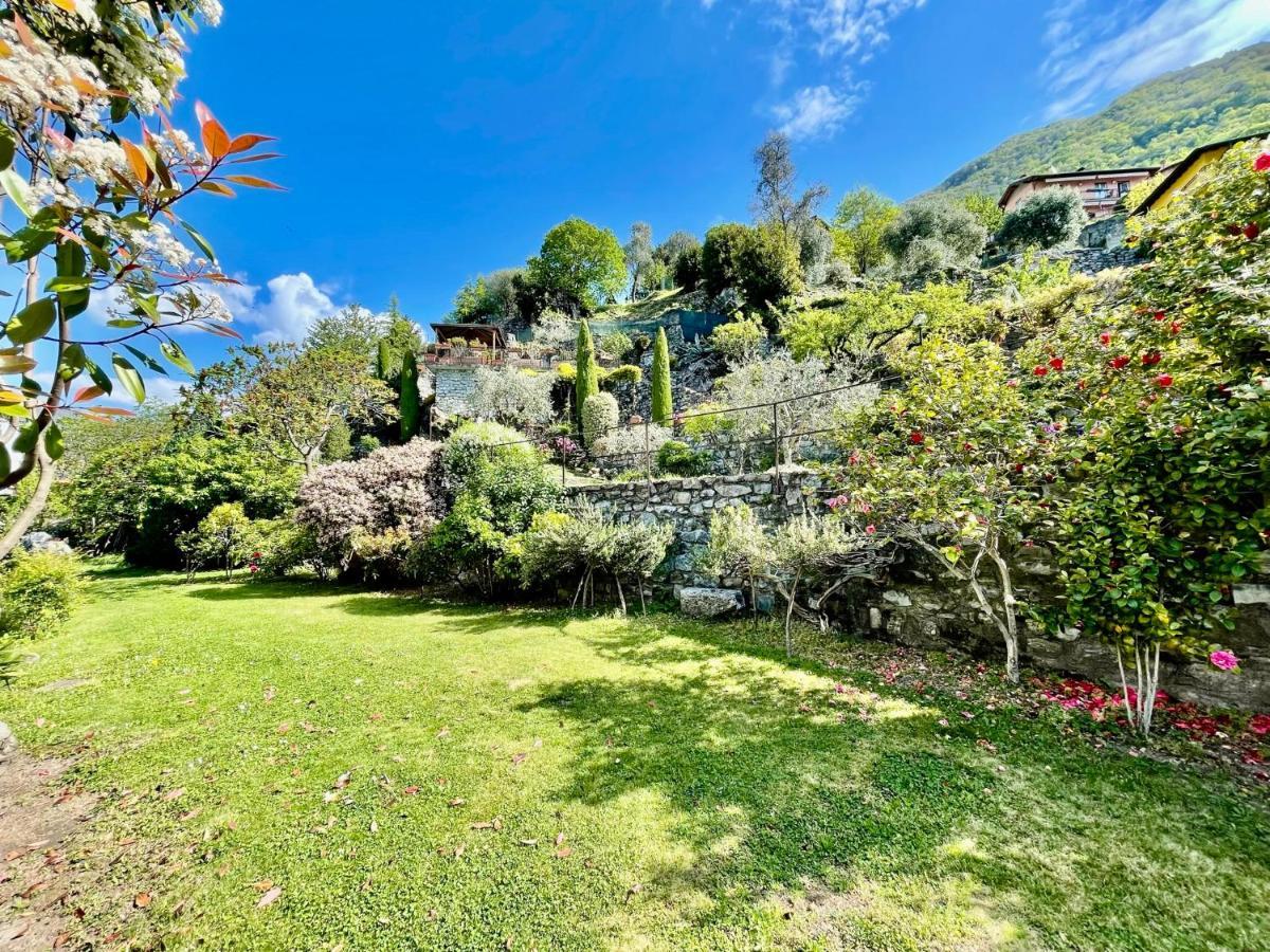 Eden Sul Lago Di Como ネッソ エクステリア 写真