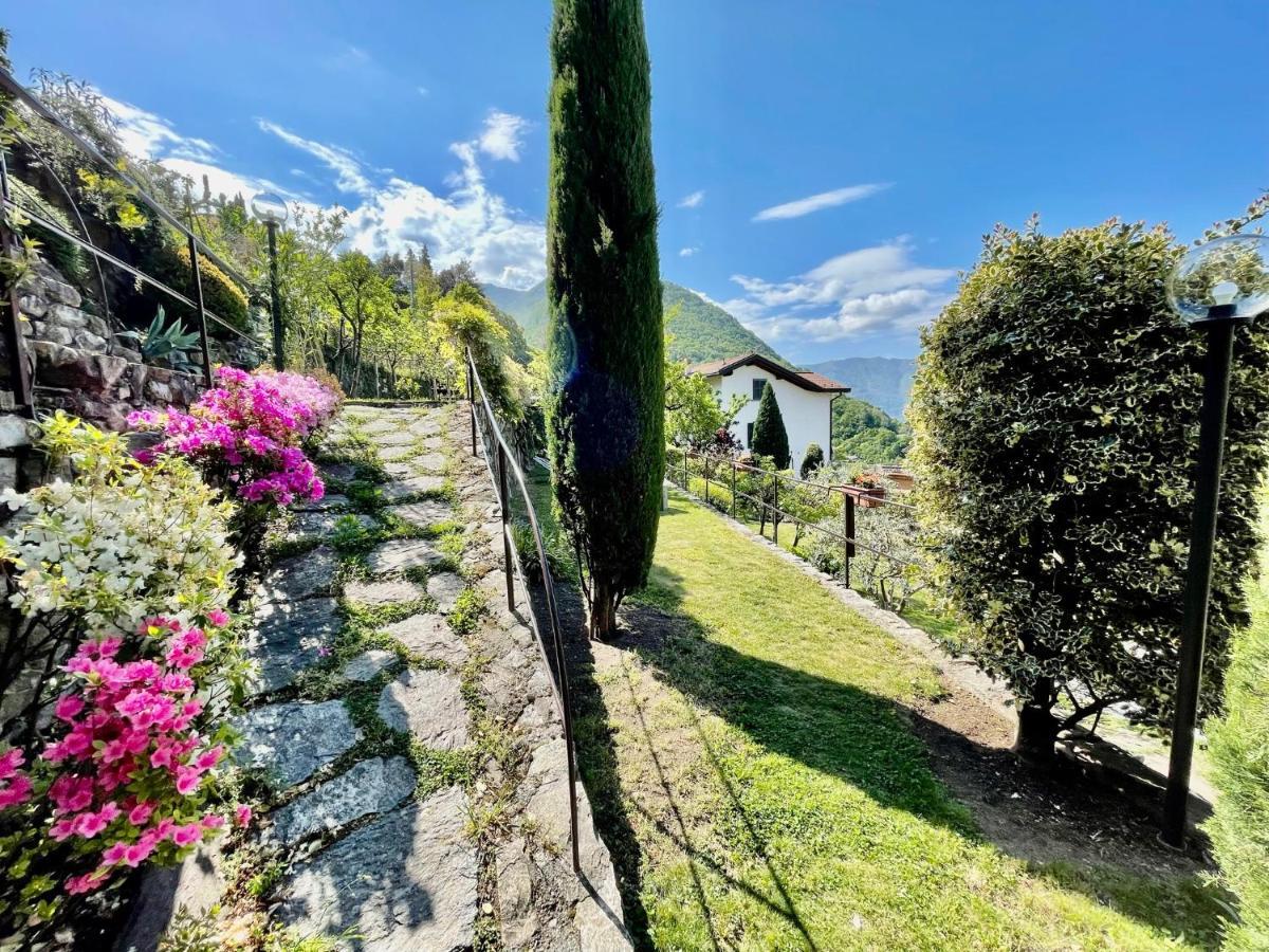 Eden Sul Lago Di Como ネッソ エクステリア 写真